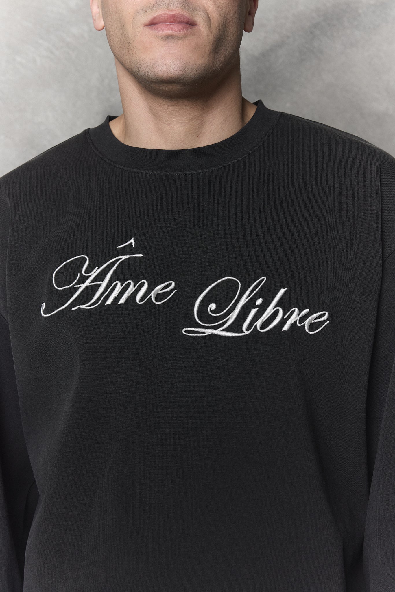 Observer Longsleeve Washed Grey